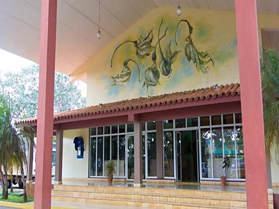 Las Yagrumas
